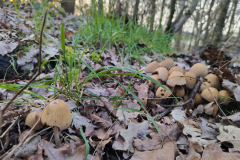 IMG_20260225_171444_HDR