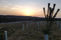 IMG_20260225_172340_HDR