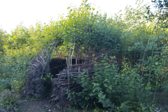 IMG_20260612_192743_HDR