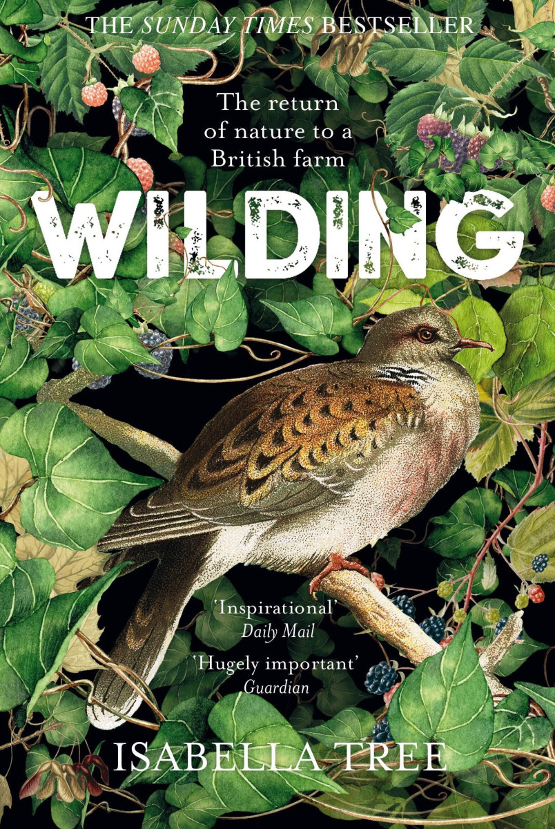 Wilding-Isabella-Tree