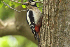 WhatsApp-Image-2026-10-22-at-19.30.32